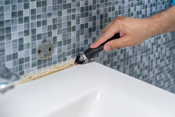 Best Bathroom Mold Remediation in Seat Pleasant, MD